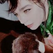 Björk Hyperballad Live In Toronto 1995 8 13