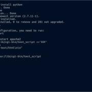 How To Configure Apache2 To Use Python As CGI Scripts