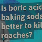 Is Boric Acid Or Baking Soda Better To Kill Roaches