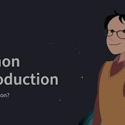 Python Введение W3Schools Com