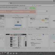 WebGoat DOM Injection