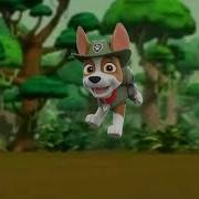Tracker Jumping