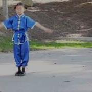 Wushu Forms Beginning Chang Quan By Meela