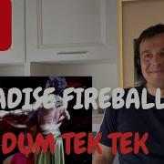 Итальянская реакция на Хадисе Dum Tek Tek
