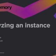 Analyzing An Instance DotMemory Video Tutorial