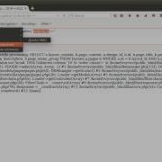 GetPage P Parameter SQL Injection