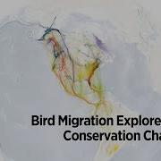 Bird Migration Explorer Demo Conservation Challenges