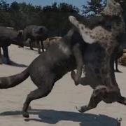 Far Cry 4 Black Rare Wolf Vs Leopards PVP Part 19