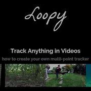 Loopy Animal Pose Multi Point Body Part Tracking