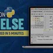 Learn If Else Statement In 5 Minutes Decision Making Python Basics