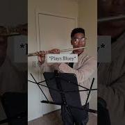 Anyone Else Relate The Reality Of Social Media Flute Humor Musician Classicalmusic