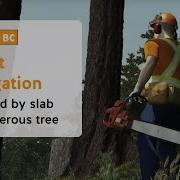 Incident Investigation Faller Killed By Slab From Dangerous Tree WorkSafeBC