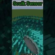 Minecraft Sculk Sensor Satisfying Tricks Video