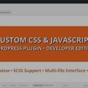 Custom CSS Javascript Developer Edition WordPress Plugin