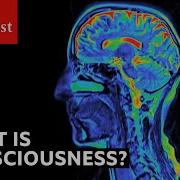 What Is Consciousness