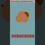 How Do You Draw An Animal Turtle In Python Draw A Dog Using Python Turtle Python Coding Shorts
