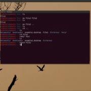 Linux Command Line Navigation