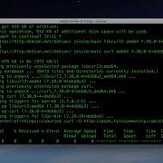 Connecting Python And MariaDB Hands On IoT Retired Course
