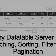 JQuery DataTable Server Side Searching Sorting Filtering And Pagination Biharideveloper