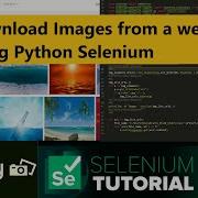Download Images From A Website Using Python Selenium And Requests Library