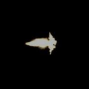 Muzzle Flash Gunshot Realistic Video Overlay Effect Free Download