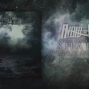 Avoid The Void Shapes Official Album Stream