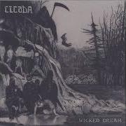Cicada Wicked Dream 7 2024
