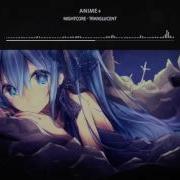 Nightcore Translucent