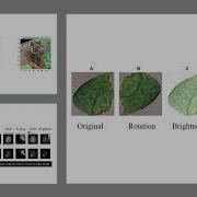 Data Augmentation Explained Boost Deep Learning Performance With Simple Tricks