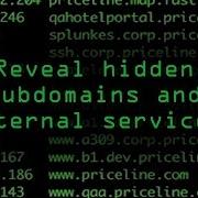 Use CT Exposer To Discover Internal Subdomains Tutorial