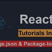 ReactJs Tutorial 6 Understanding The Package Json And Package Lock Json
