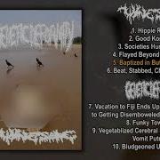 Wine Sore Genetic Deformity Split MC FULL ALBUM 2021 Goregrind Mincecore
