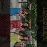 Choose Anyone Webdevelopment Funny Codingbat 100daysofcode Memes Dance Music Viralshort