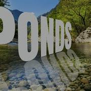 How To Create 3 D Perspective Text Effect With Reflection Using Canva Canva Graphic Design