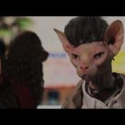 Seven PsychoCATS Trailer HD