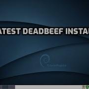 Latest Deadbeef Install In Puppylinux