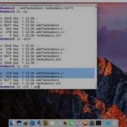Redirecting And Piping Commands On Linux