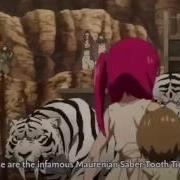 Amv Magi Morgiana