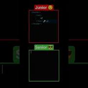 Junior Vs Senior Developer Programming Html Javascript Webdevelopment Html5 Webdesign Css3