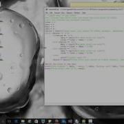 Module 5 While Loop