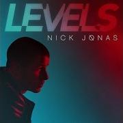 Nick Jonas Levels Audio