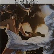 Melidian Ready To Rock Melodic Hard Rock 1989