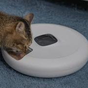 Умная кормушка Petoneer Smart Regular Multi Meal Feeder