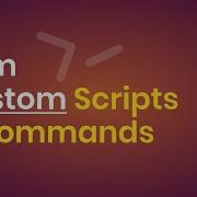 Run Custom Scripts Commands Via NPM