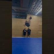 Standing Double Backflip Training