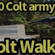 1847Colt Walker And 1860 Colt In Ballistic Gel And Water Bottle