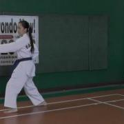 Taekwondo Foundation Form 1