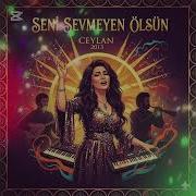 Seni Sevmeyen Ölsün Ceylan 2025 Cover AL
