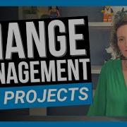 Change Management For Project Managers THE BASICS