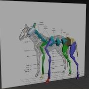 Autodesk 3ds Max Biped Horse Rig
